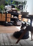 Onze Saar die onze vlogs volgt🤣