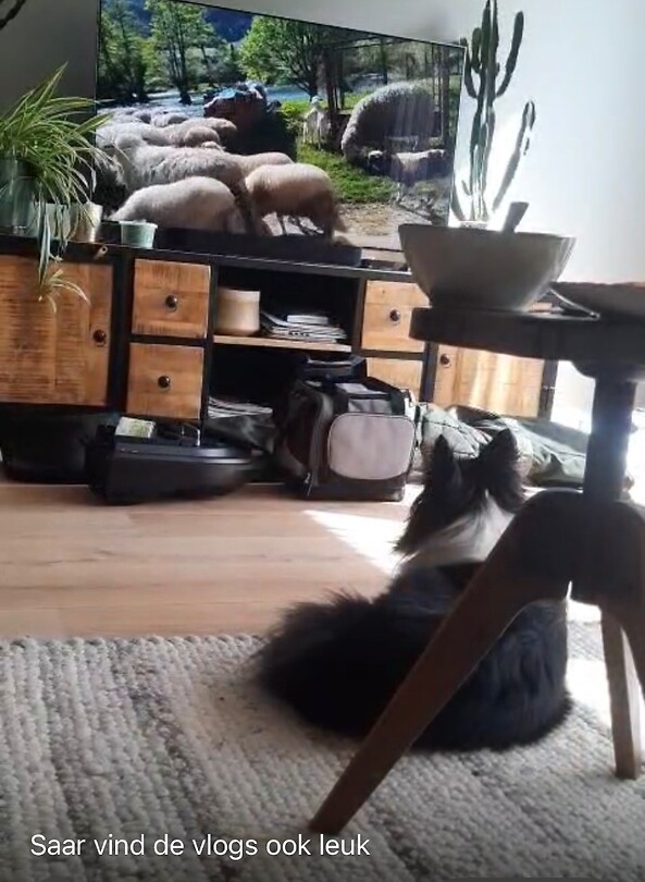Onze Saar die onze vlogs volgt🤣