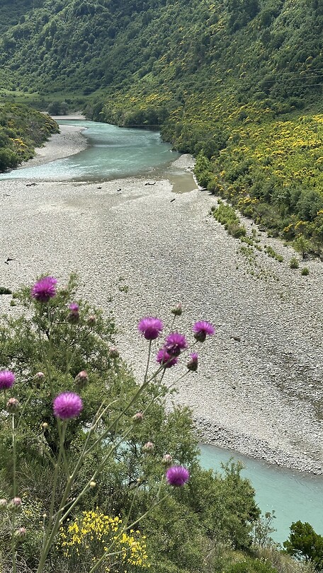 De rivier
