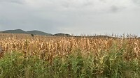 Onderweg