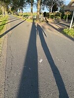 Aan de wandel