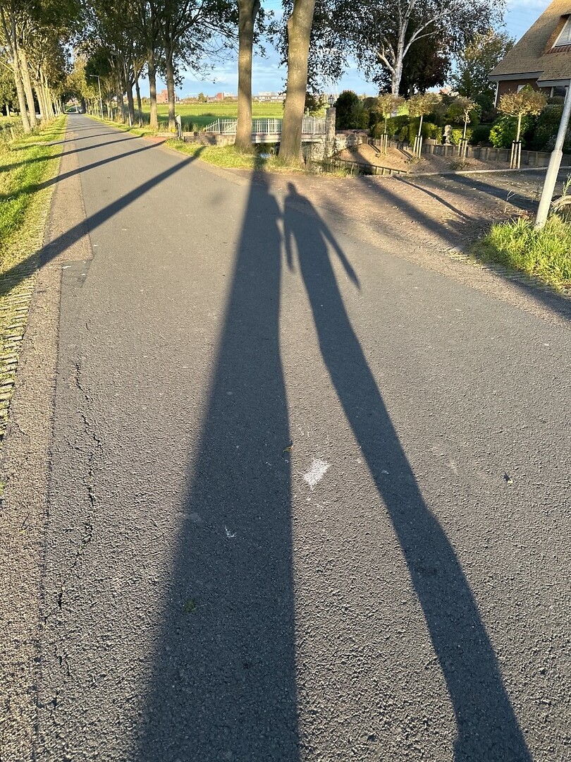 Aan de wandel