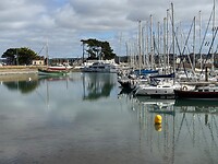 Haven