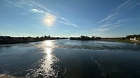 IMG_5916