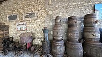 IMG_5954