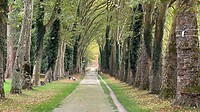 IMG_5944