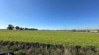 IMG_5959