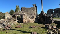 IMG_6042