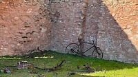 IMG_5985