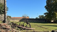 IMG_6010
