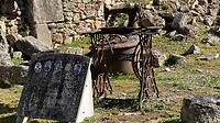 IMG_6037