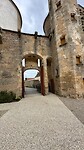 IMG_6153