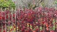 IMG_6224