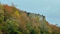 IMG_6233