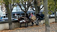 IMG_6290