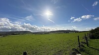 IMG_6307