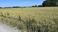IMG_7062