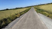 IMG_7063