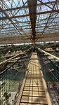 IMG_7092