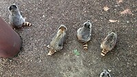 IMG_7076