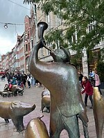IMG_2309