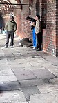 IMG_7624