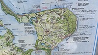 IMG_7781