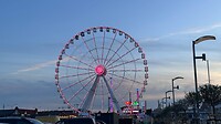 IMG_7831