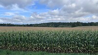IMG_8083