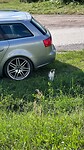 IMG_8226