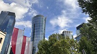 IMG_8308