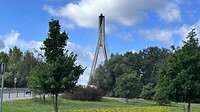 IMG_8381