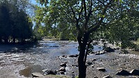 IMG_8964
