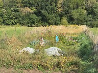 IMG_2390