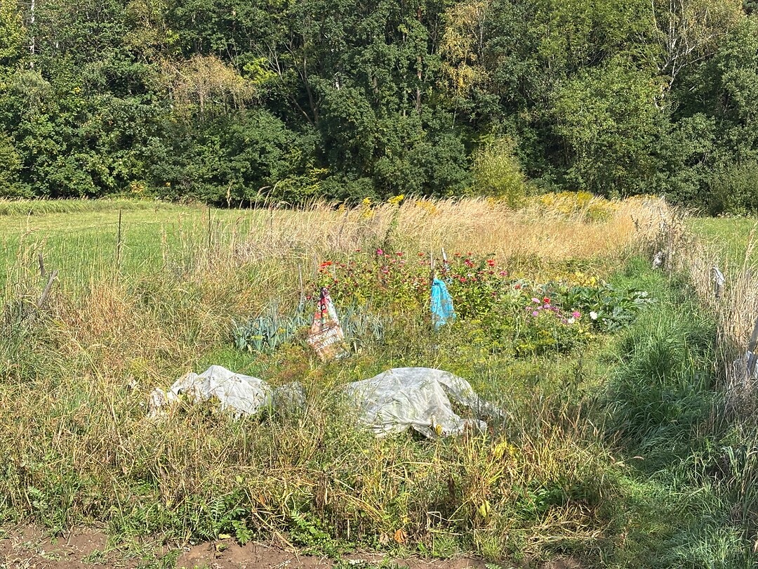 IMG_2390