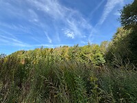 IMG_2387