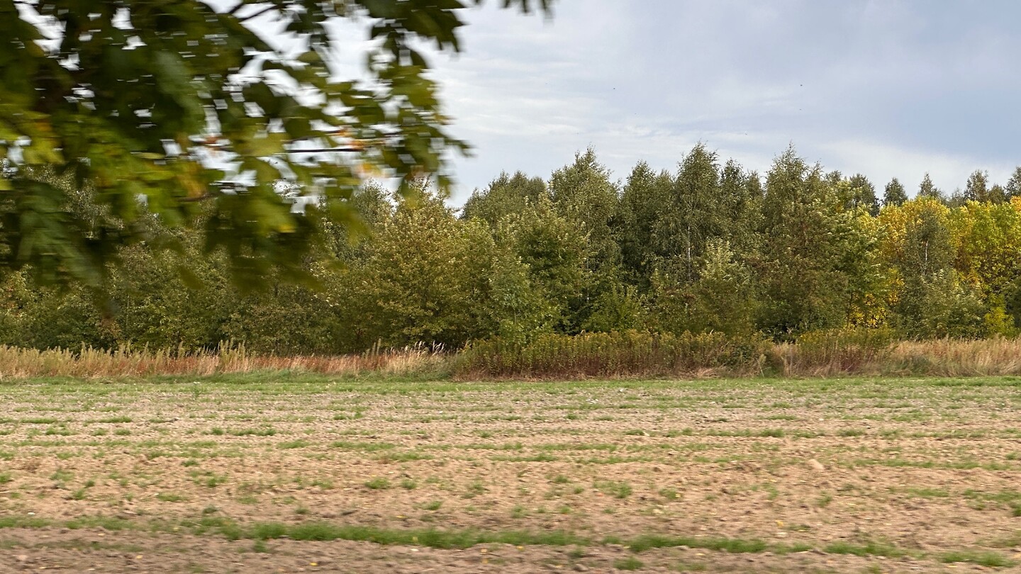 IMG_9278