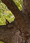 IMG_9316