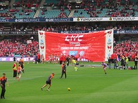 entree van de Swans