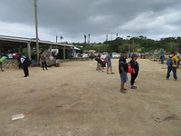 IMG_0778