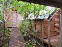 tree lodge