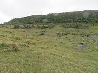 Rock Garden