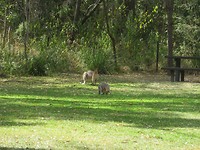 IMG_0215