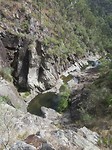 IMG_0219