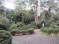 IMG_0240