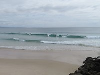 IMG_0250