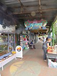 IMG_0273
