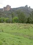 IMG_0292