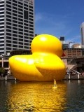 The Dutch Duck vanaf het water