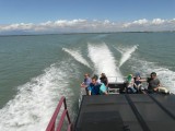 SAM_0873